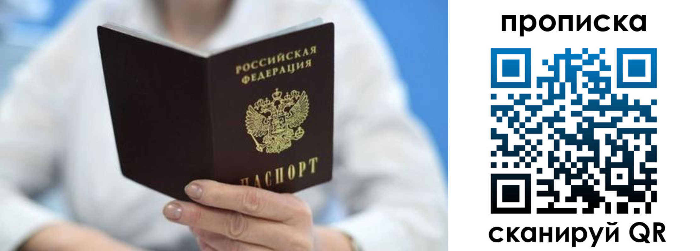 прописка 2025 в Звенигово